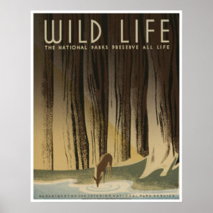 Wild Life: National Parks Service Poster