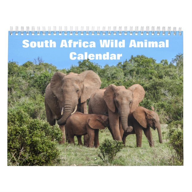 Wild Life of South Africa 2026 Calendar (Cover)