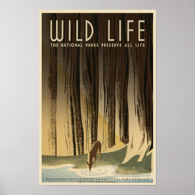 Wild Life Preservation - National Park Service Poster (Front)