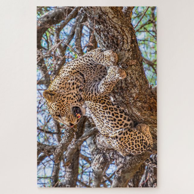Wild Life Safari Leopard Sitting In A Tree 1014pcs Jigsaw Puzzle (Vertical)