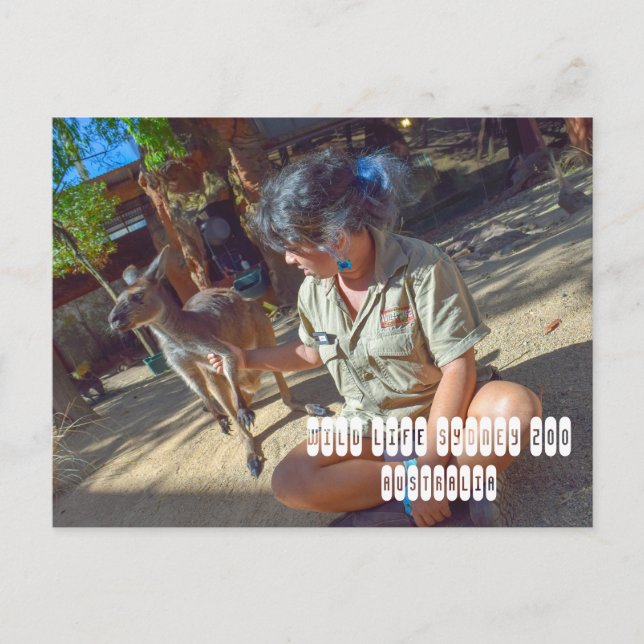 Wild Life Sydney Zoo in Australia Postcard (Front)