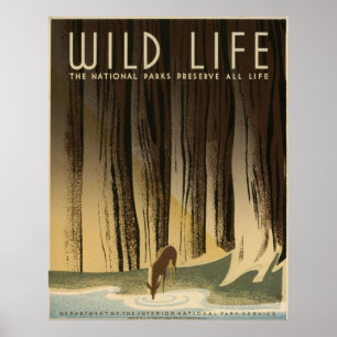 Wild life The national parks preserve all life Poster