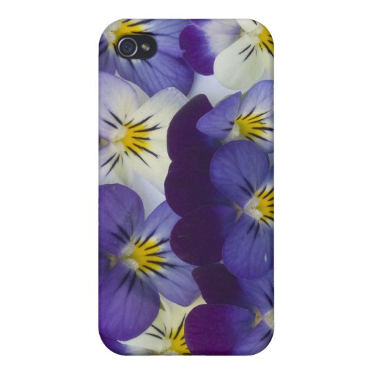 wild lillies iPhone 4/4S cover