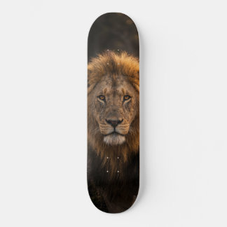 Wild Lion King of the Jungle Skateboard