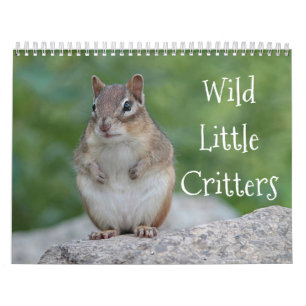 Wild little critters calendar