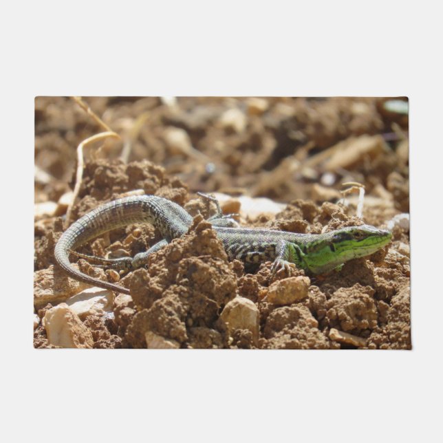 Wild Lizard Nature Photography Rustic  Doormat (Front)