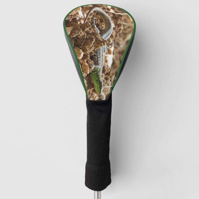 Wild Lizard Nature Photography Rustic  Golf Head Cover (Front)