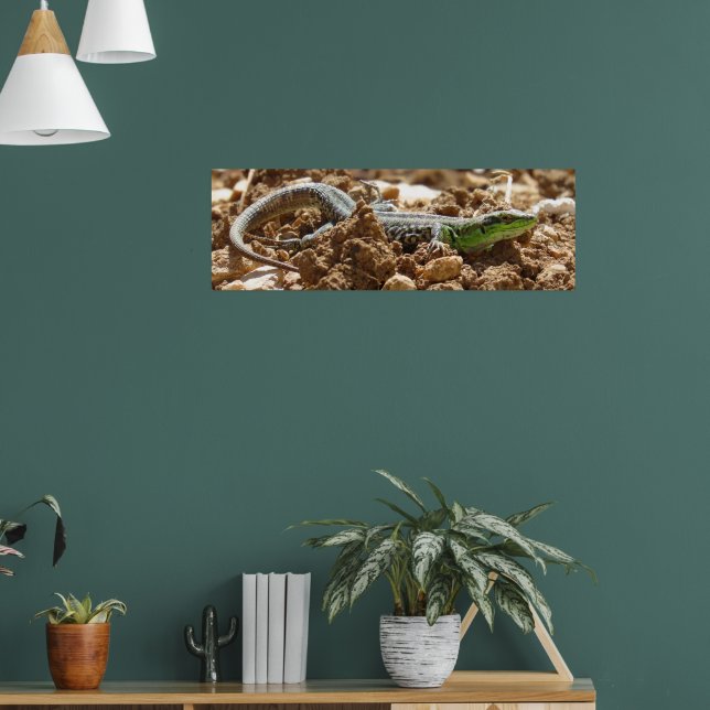 Wild Lizard Nature Photography Rustic   Poster (Living Room 1)