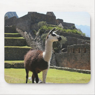 Wild Llama Near Ruins Mouse Mat