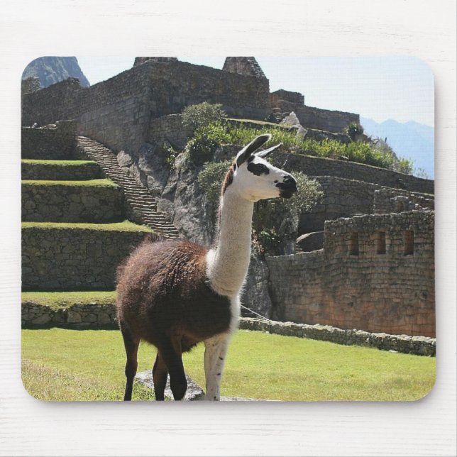 Wild Llama Near Ruins Mouse Mat (Front)