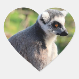 Wild Love: For Australia Heart Sticker