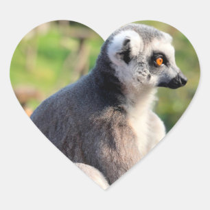 Wild Love: For Australia Heart Sticker