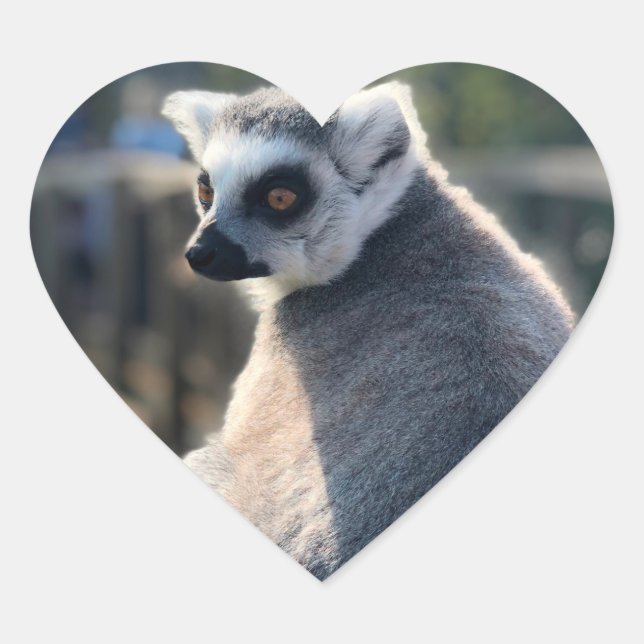Wild Love: For Australia Heart Sticker (Front)