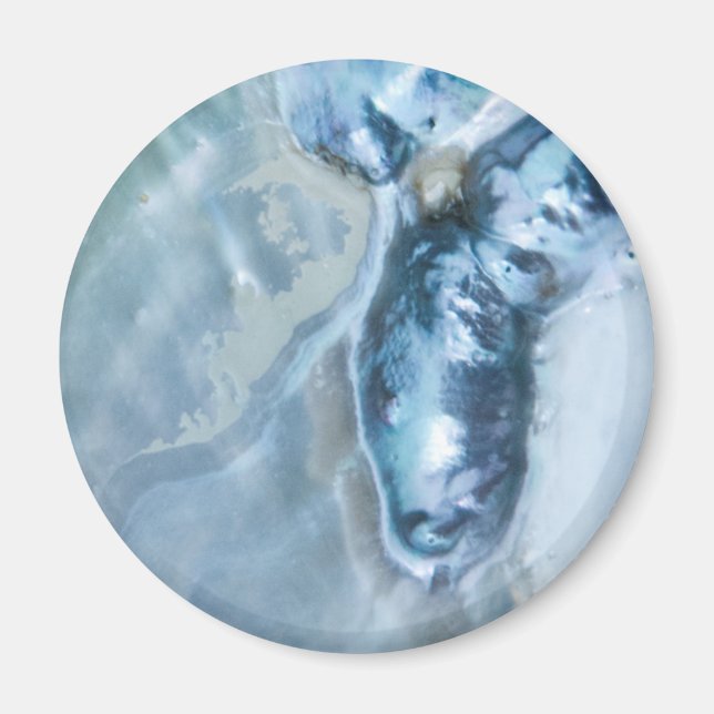 Wild Malaysian Mother of Pearl Magnet (Front)