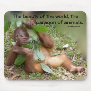 Wild Man of Borneo Orangutan Mouse Mat