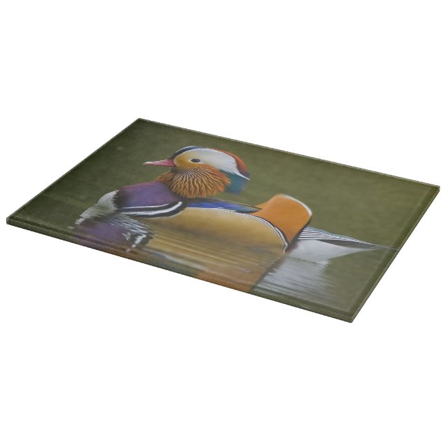 Wild Mandarin Duck Aix galericulata) on dark Cutting Board (Corner)