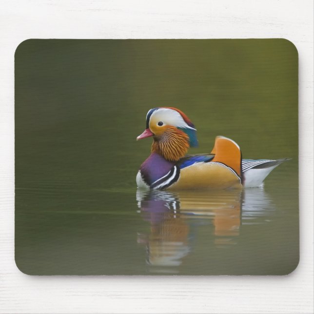 Wild Mandarin Duck Aix galericulata) on dark Mouse Mat (Front)