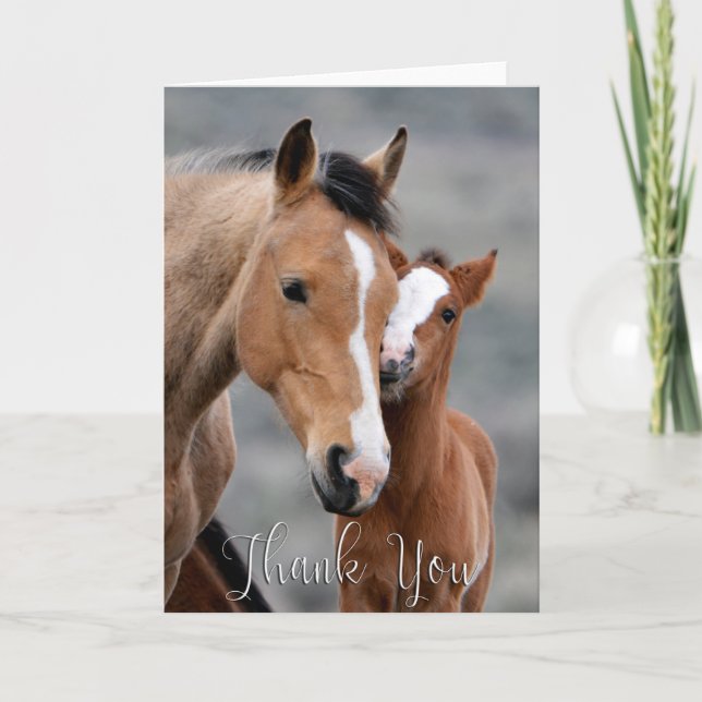 Wild Mare and Foal Photo Thank You Card (Front)