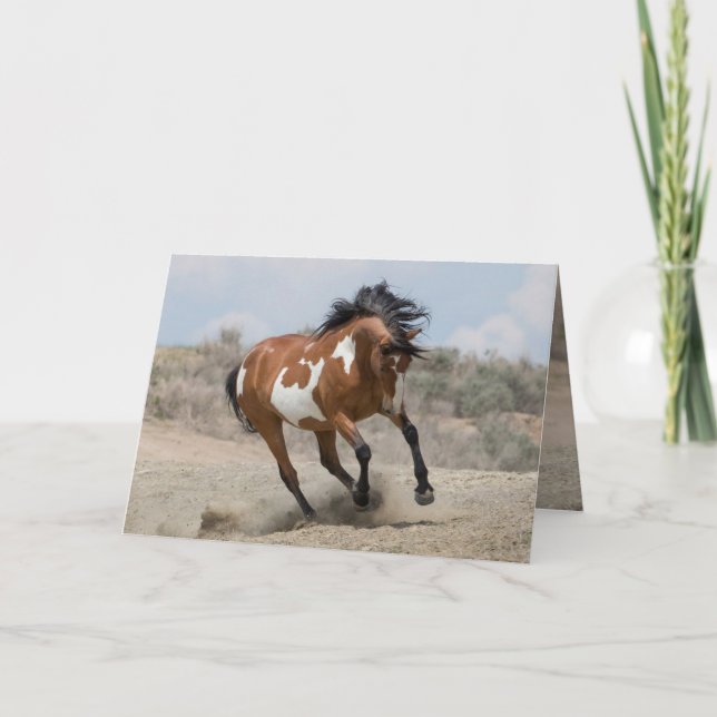 Wild Mare Runs Greeting Card (Front)