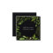 Wild Meadow | Black Botanical Frame