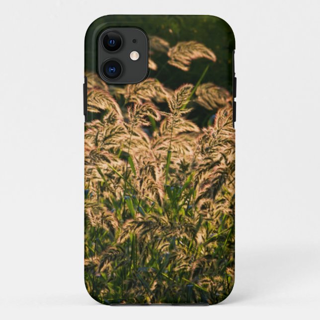 Wild Millet (Panicum Sp.) Growing In Wetland Case-Mate iPhone Case (Back)