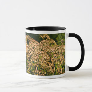 Wild Millet (Panicum Sp.) Growing In Wetland Mug