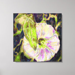Wild Morning Glory by Alexandra Cook Canvas Print