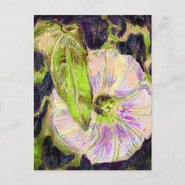 Wild Morning Glory by Alexandra Cook Postcard (Front)