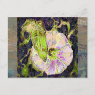 Wild Morning Glory by Alexandra Cook Postcard