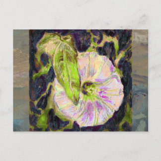 Wild Morning Glory by Alexandra Cook Postcard