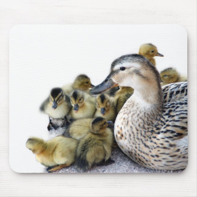 Wild Mother Duck and Ducklings Mouse Mat (Front)