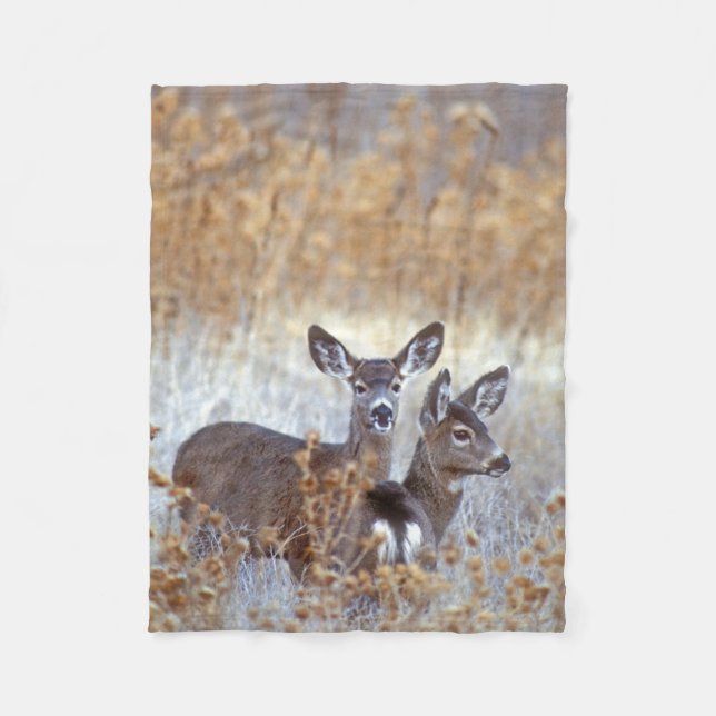 Wild Mule Deer Pair | California Fleece Blanket (Front)