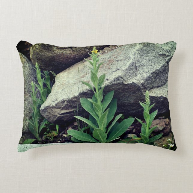 Wild Mullein Flowers Among Rocks   Decorative Cushion (Front)