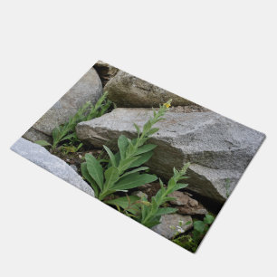 Wild Mullein Flowers Among Rocks  Doormat