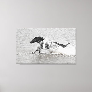 Wild Mundoo Jet Ski  Canvas Print