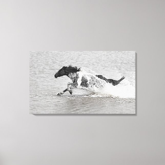 Wild Mundoo Jet Ski  Canvas Print (Front)