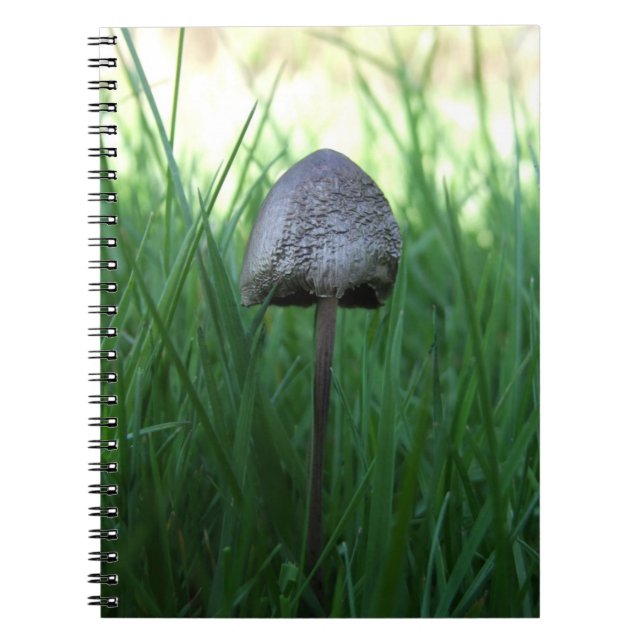 Wild Mushroom Notebook (Front)