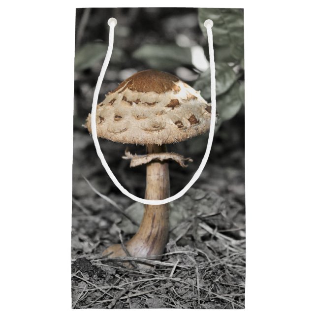 Wild Mushroom (Toadstool) Small Gift Bag (Front)
