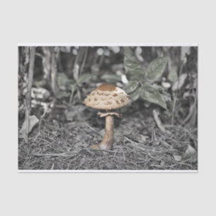 Wild Mushroom (Toadstool) Tissue Paper