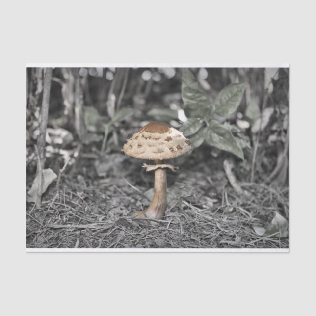 Wild Mushroom (Toadstool) Tissue Paper (Front)