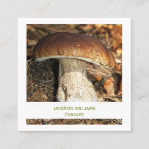 Wild Mushroom Wild Food Forager  Photo Square Business Card
