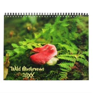 Wild Mushrooms and Nature Photography Calendar