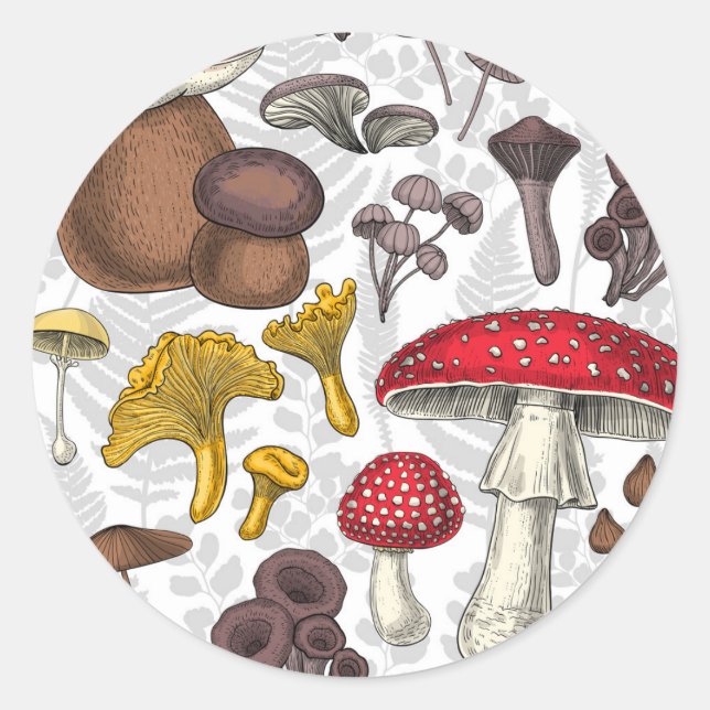 Wild mushrooms classic round sticker (Front)