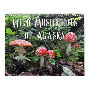 Wild Mushrooms of Alaska - Large Calendar