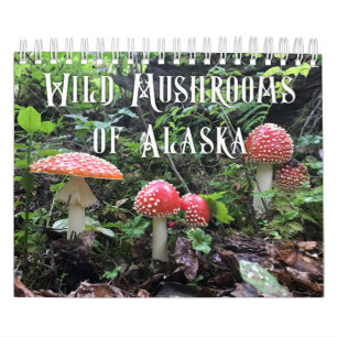 Wild Mushrooms of Alaska - Small Calendar
