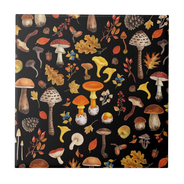 Wild mushrooms on black tile (Front)