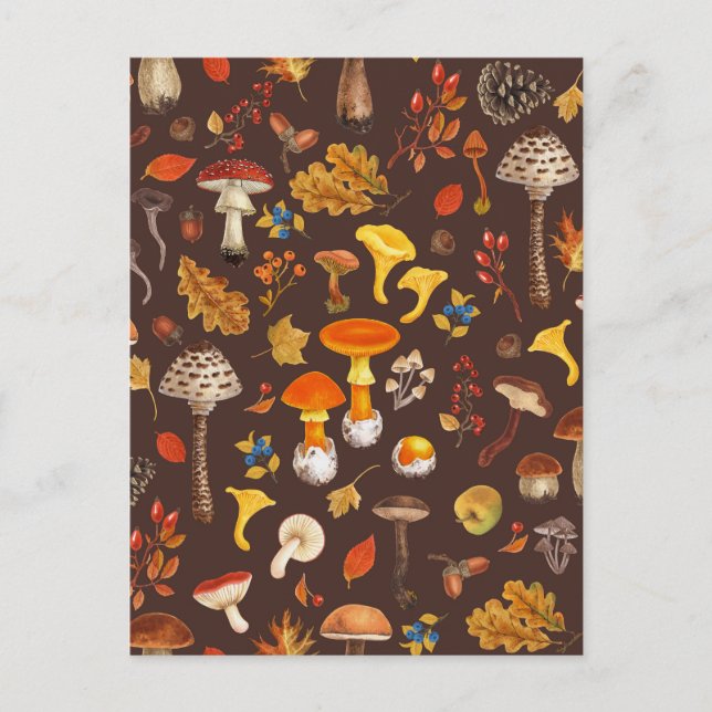 Wild mushrooms on brown postcard (Front)