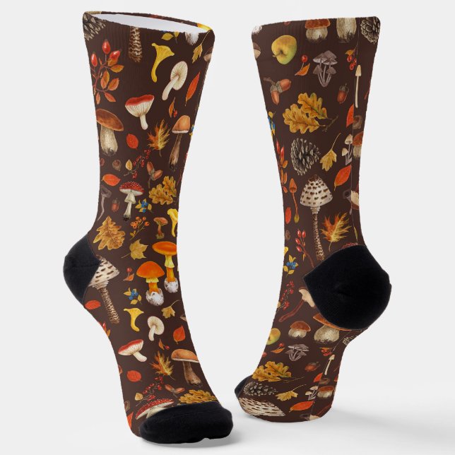Wild mushrooms on brown socks (Angled)
