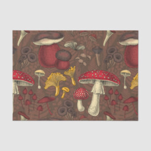 Wild mushrooms on brown tissue paper