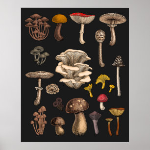Wild Mushrooms on graphite black Poster